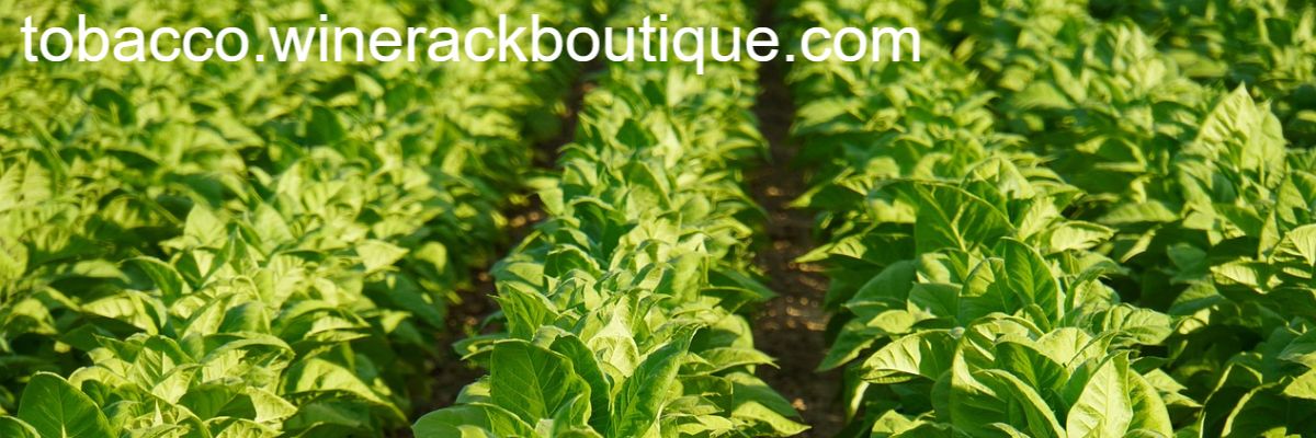 tobacco.winerackboutique.com